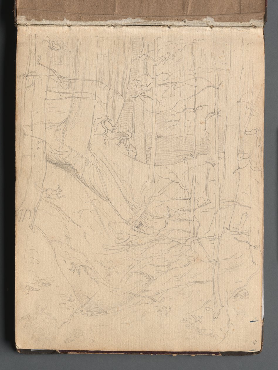 Album z Widokami Rzymu i okolic, Studia krajobrazowe, strona 01a: Krajobraz rzymski. autorstwa Franz Johann Heinrich Nadorp