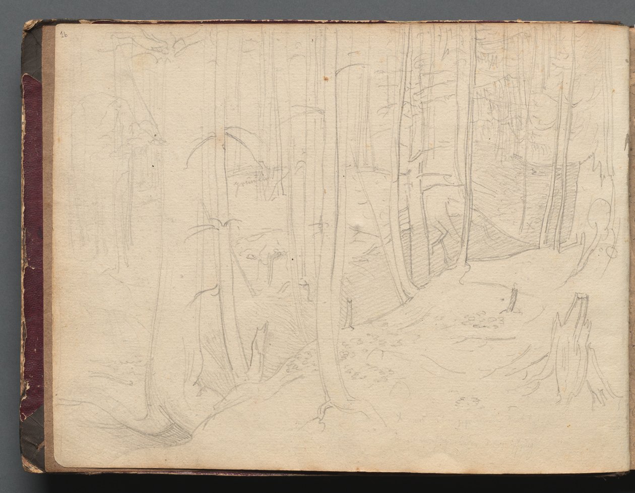 Album z widokami Rzymu i okolic, Studia krajobrazowe, strona 01b: Krajobraz rzymski autorstwa Franz Johann Heinrich Nadorp