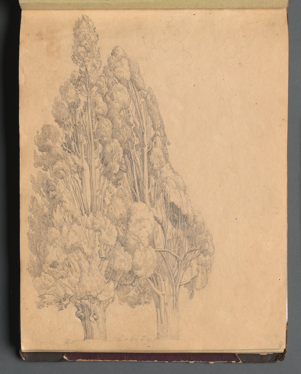 Album z Widokami Rzymu i okolic, Studia krajobrazowe, strona 13a: Drzewa. autorstwa Franz Johann Heinrich Nadorp
