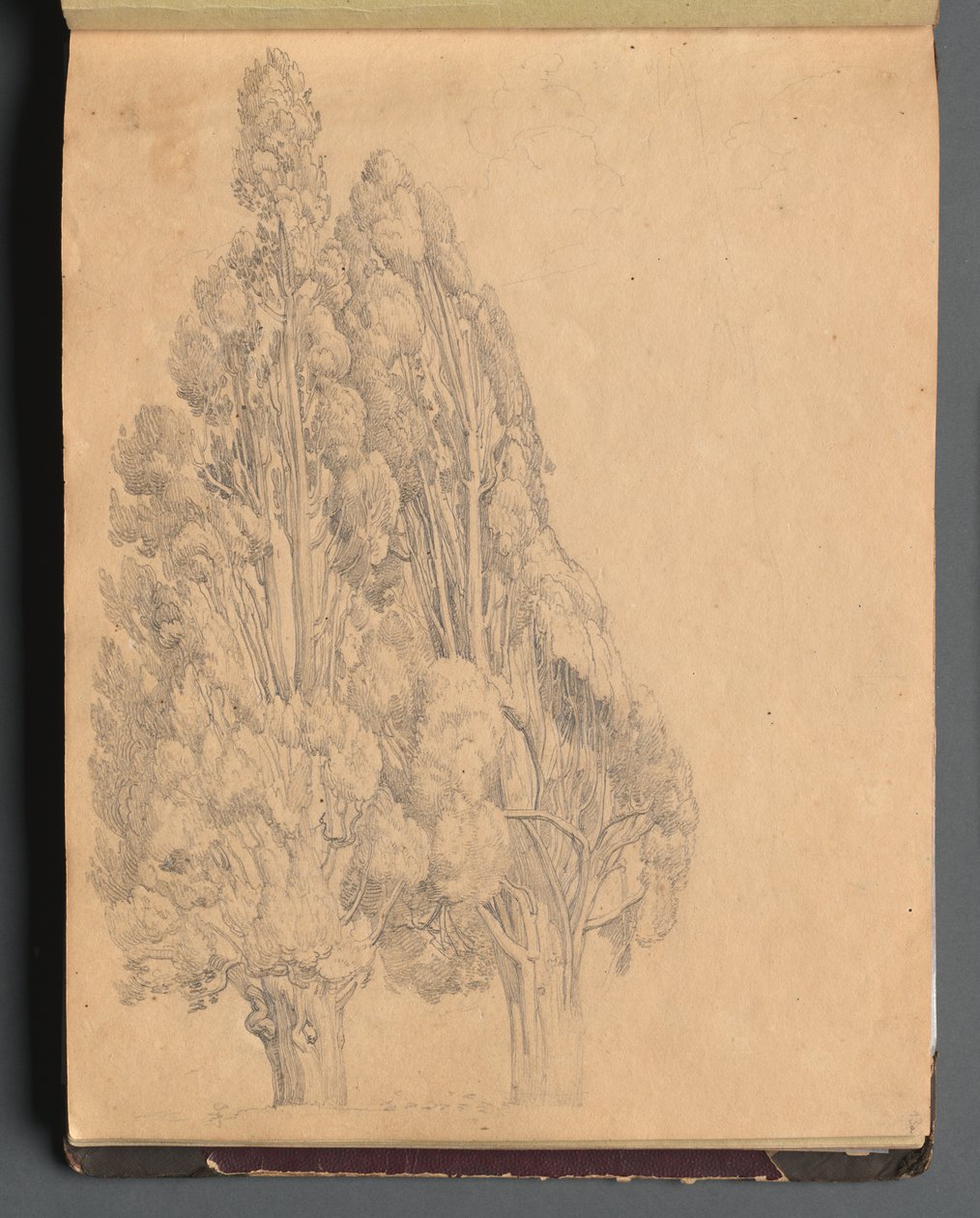 Album z Widokami Rzymu i okolic, Studia krajobrazowe, strona 13a: Drzewa autorstwa Franz Johann Heinrich Nadorp