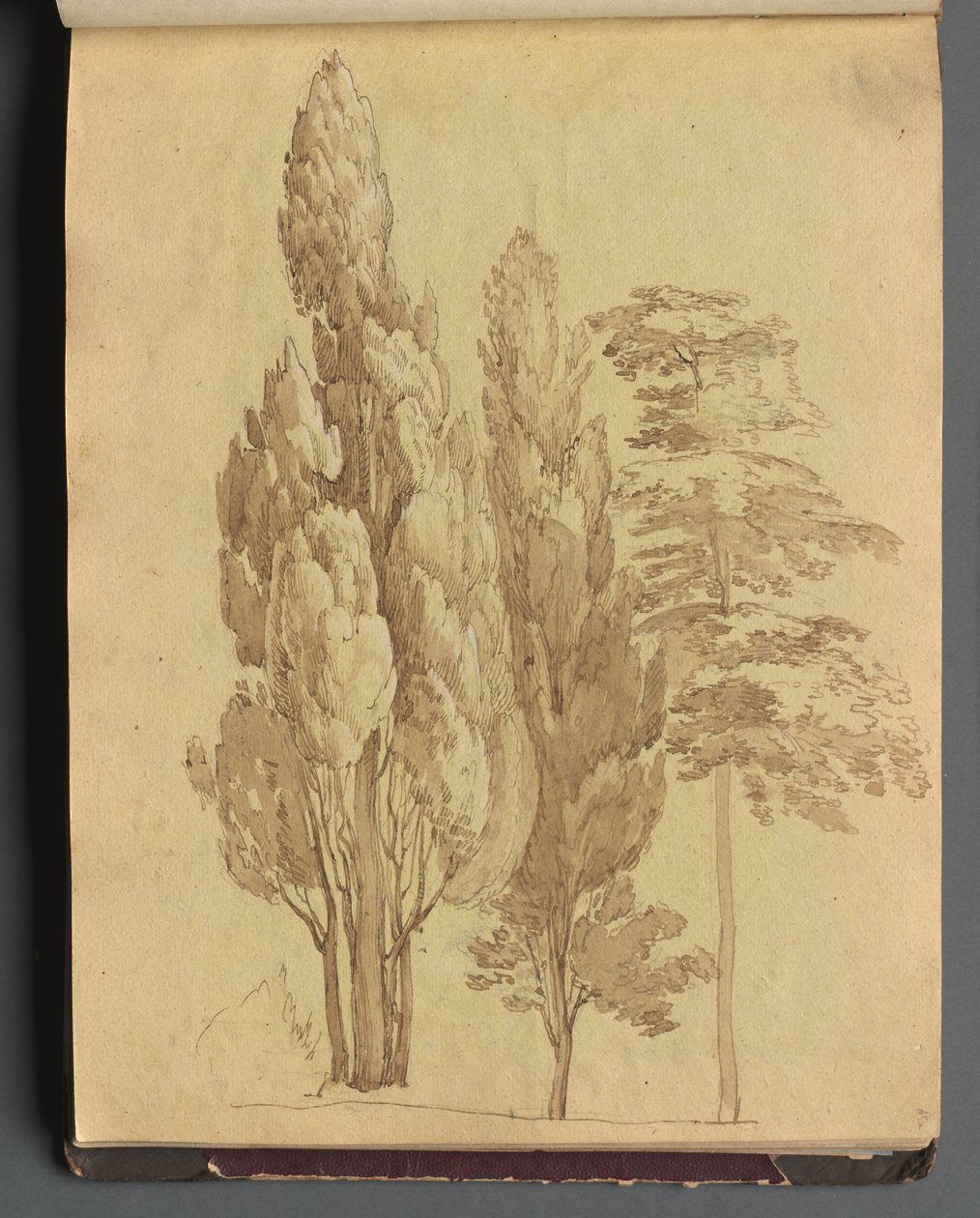 Album z Widokami Rzymu i okolic, Studia krajobrazowe, strona 15a: Drzewa autorstwa Franz Johann Heinrich Nadorp