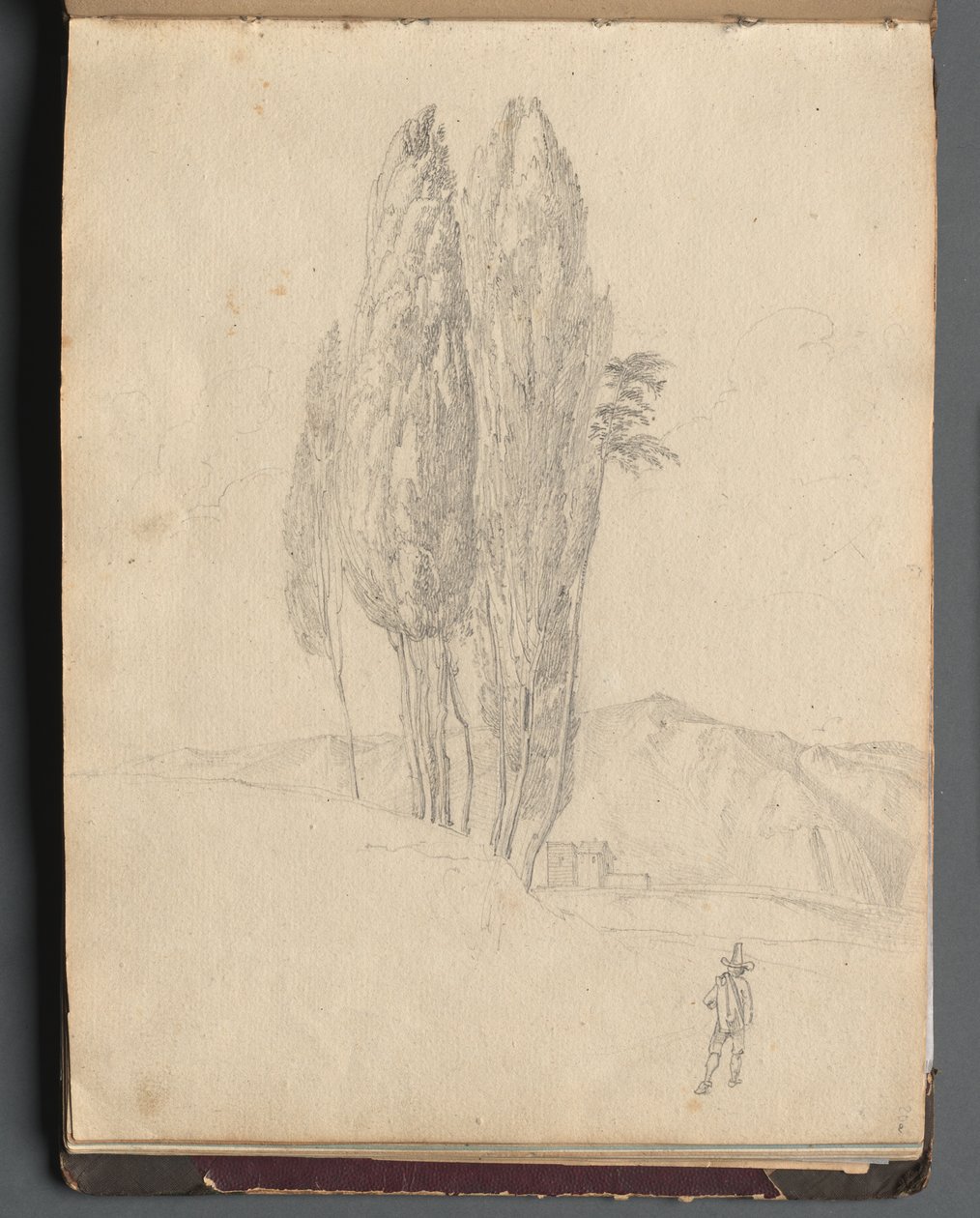 Album z Widokami Rzymu i okolic, Studia krajobrazowe, s. 20a: Drzewa. autorstwa Franz Johann Heinrich Nadorp