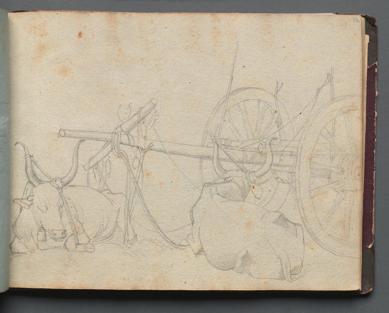Album z Widokami Rzymu i okolic, Studia krajobrazowe, strona 37a: Woły i wóz autorstwa Franz Johann Heinrich Nadorp