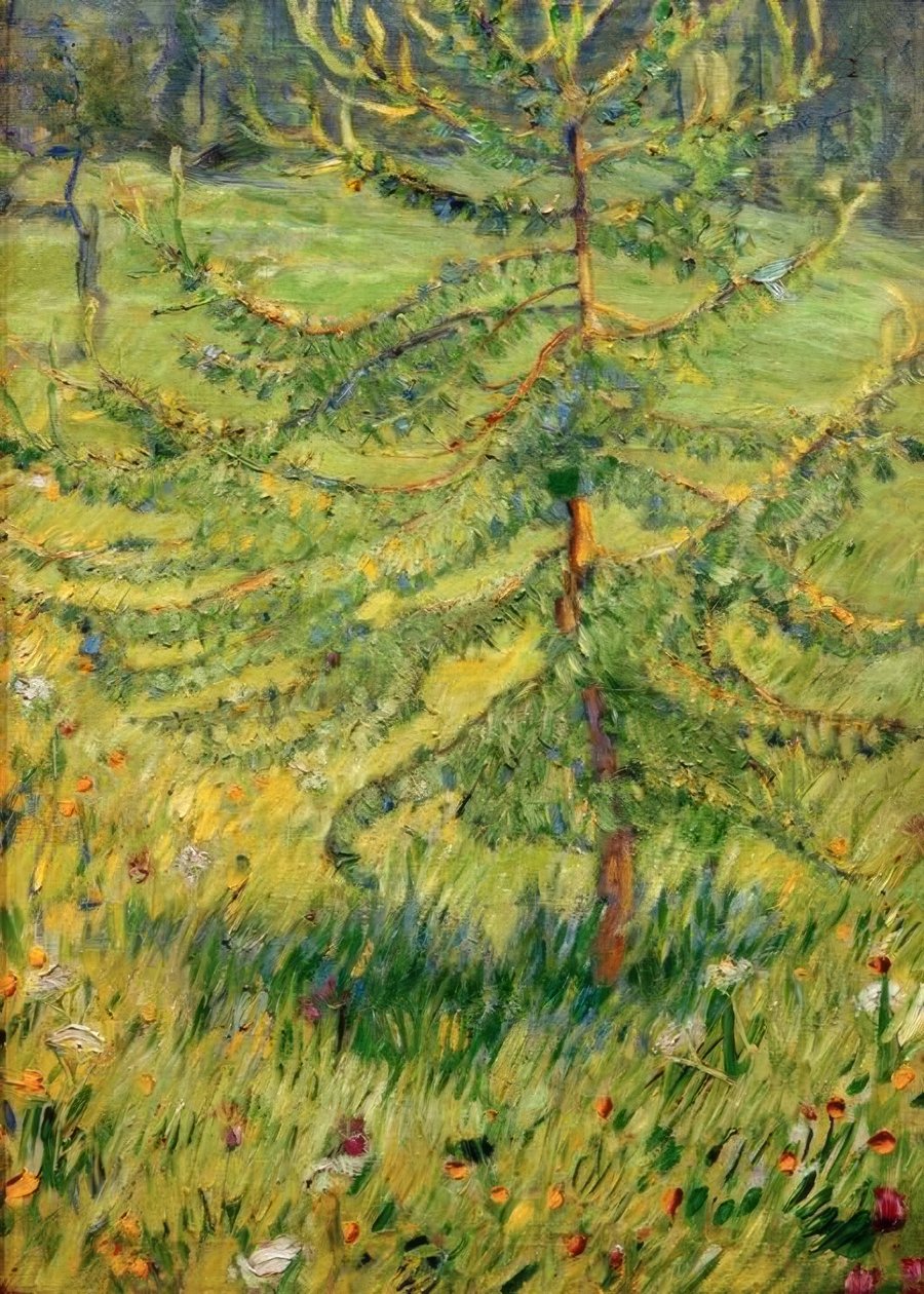 Młody modrzew na leśnej łące autorstwa Franz Marc
