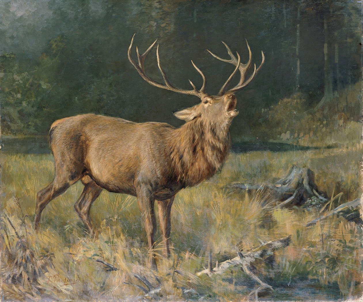 Brązowy jeleń autorstwa Franz Xaver von Pausinger