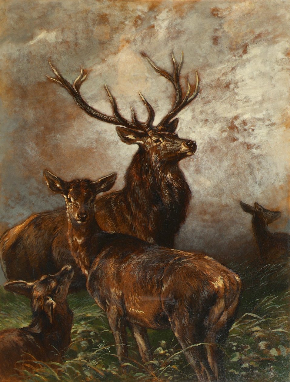 Jelenie i łanie autorstwa Franz Xaver von Pausinger