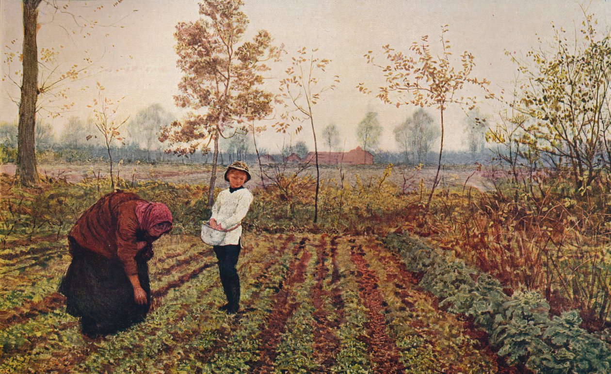 Fioletowe pole, 1867, c1915 autorstwa Fred Walker