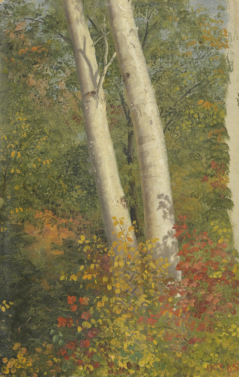 Brzozy jesienią autorstwa Frederic Edwin Church