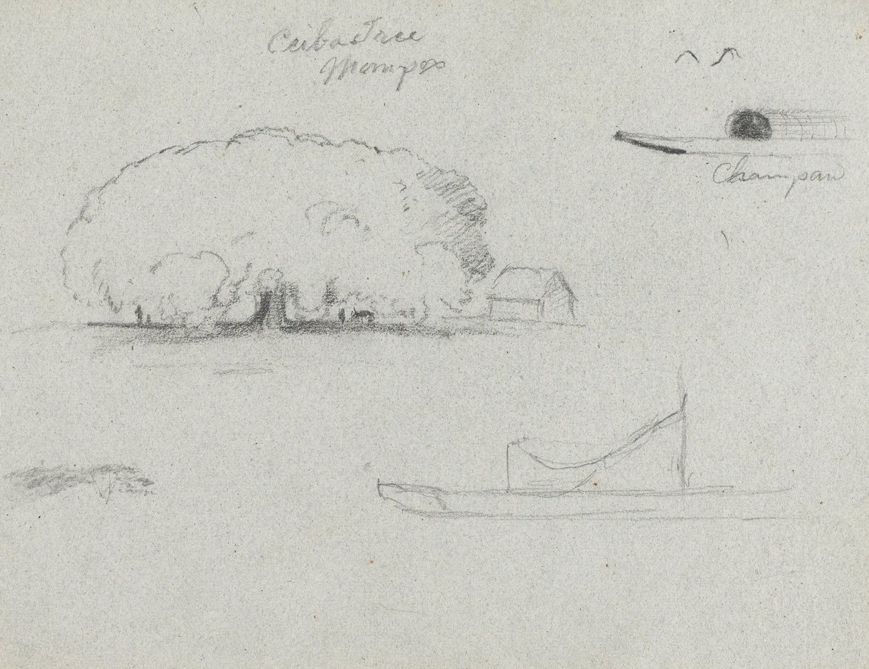 Ceiba Tree at Mompox, Chapman Canoe, drzewa i częściowa łódź, Rio Magdalena, Kolumbia autorstwa Frederic Edwin Church