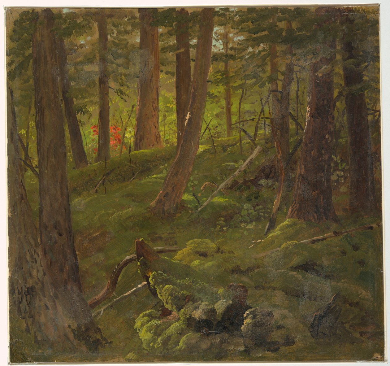 Rysunek, Roślinność w dżungli, 1865 autorstwa Frederic Edwin Church