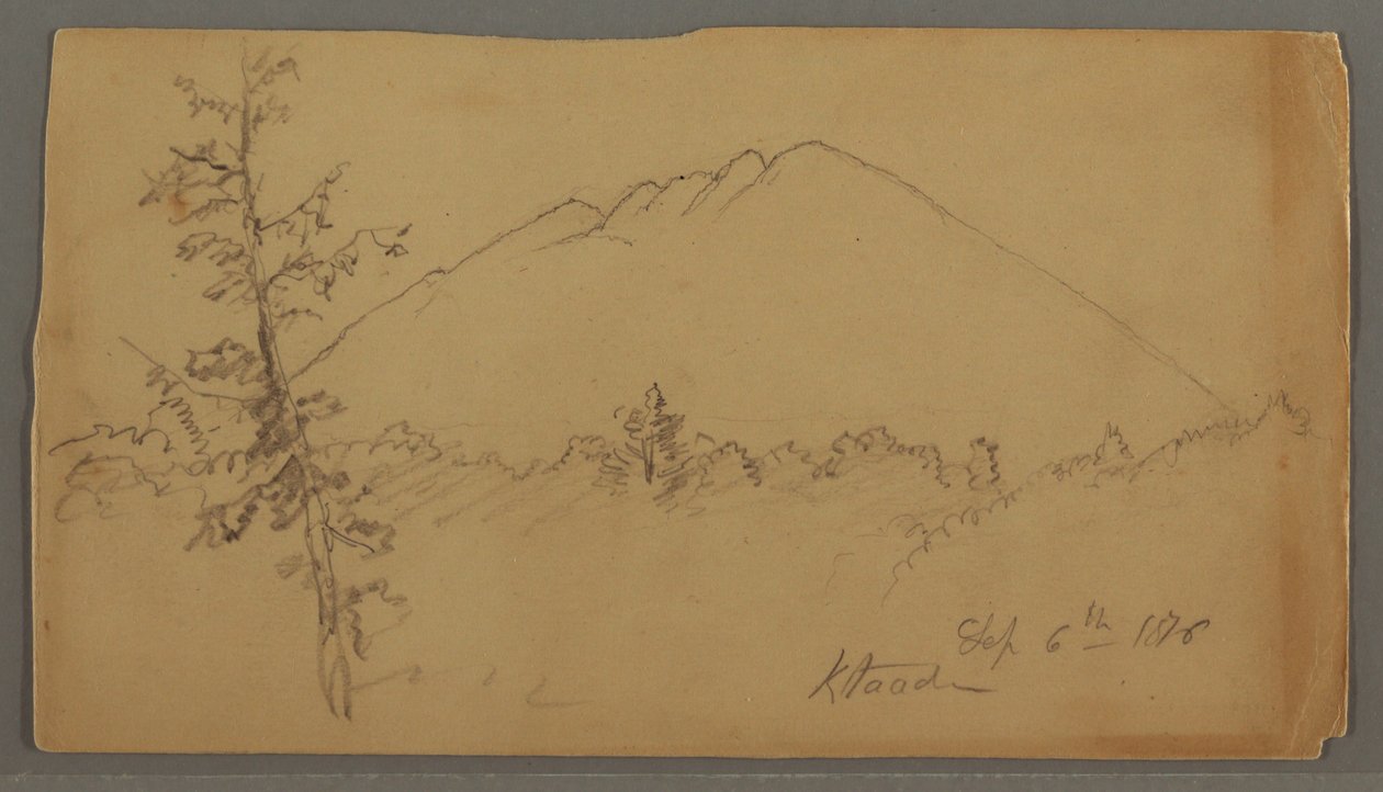 Rysunek, Góra Katahdin, las, drzewo na pierwszym planie autorstwa Frederic Edwin Church