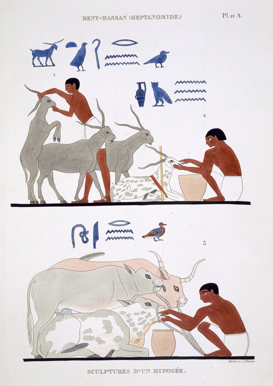Trabalho veterinário, de um registro raro de afrescos de Tebas, registrado em 1819-1822 em sua segunda visita ao Egito por Frederic Cailliaud (1787-1869), litopolimento colorido autorstwa Frederic (after) Cailliaud