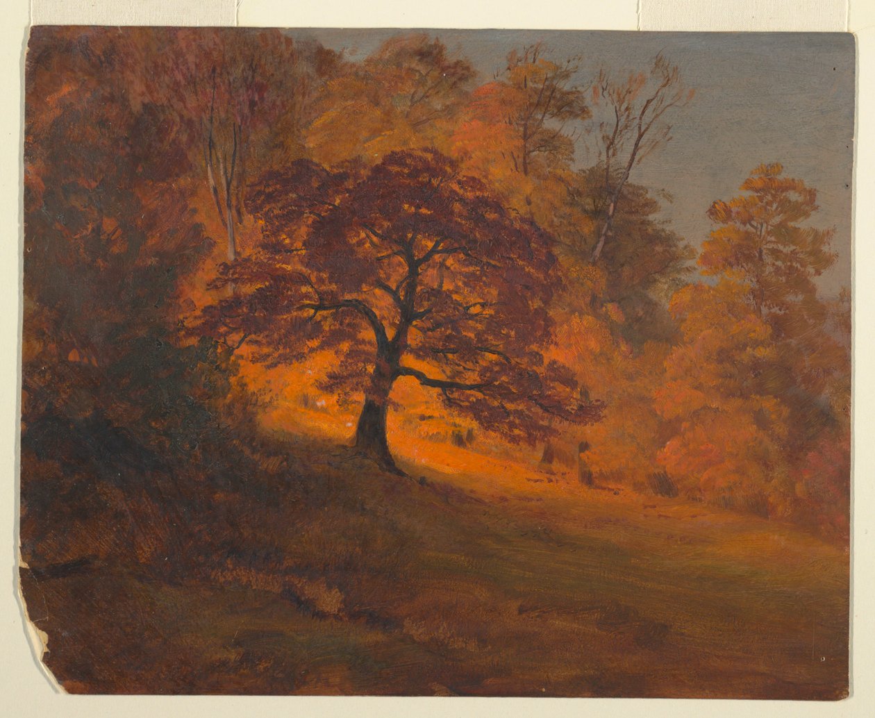 Jesienne liście autorstwa Frederic Edwin Church