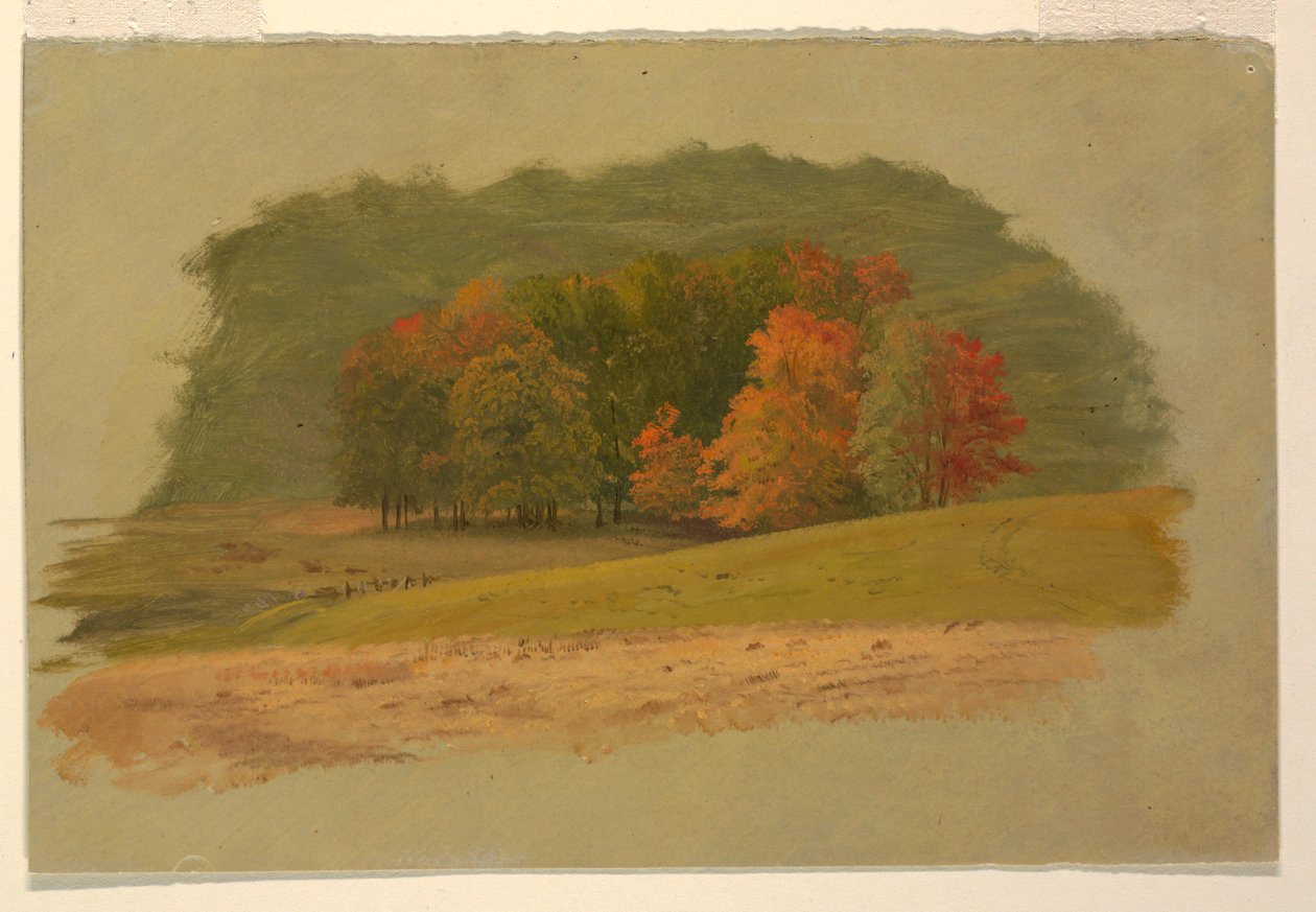 Jesienny krajobraz autorstwa Frederic Edwin Church