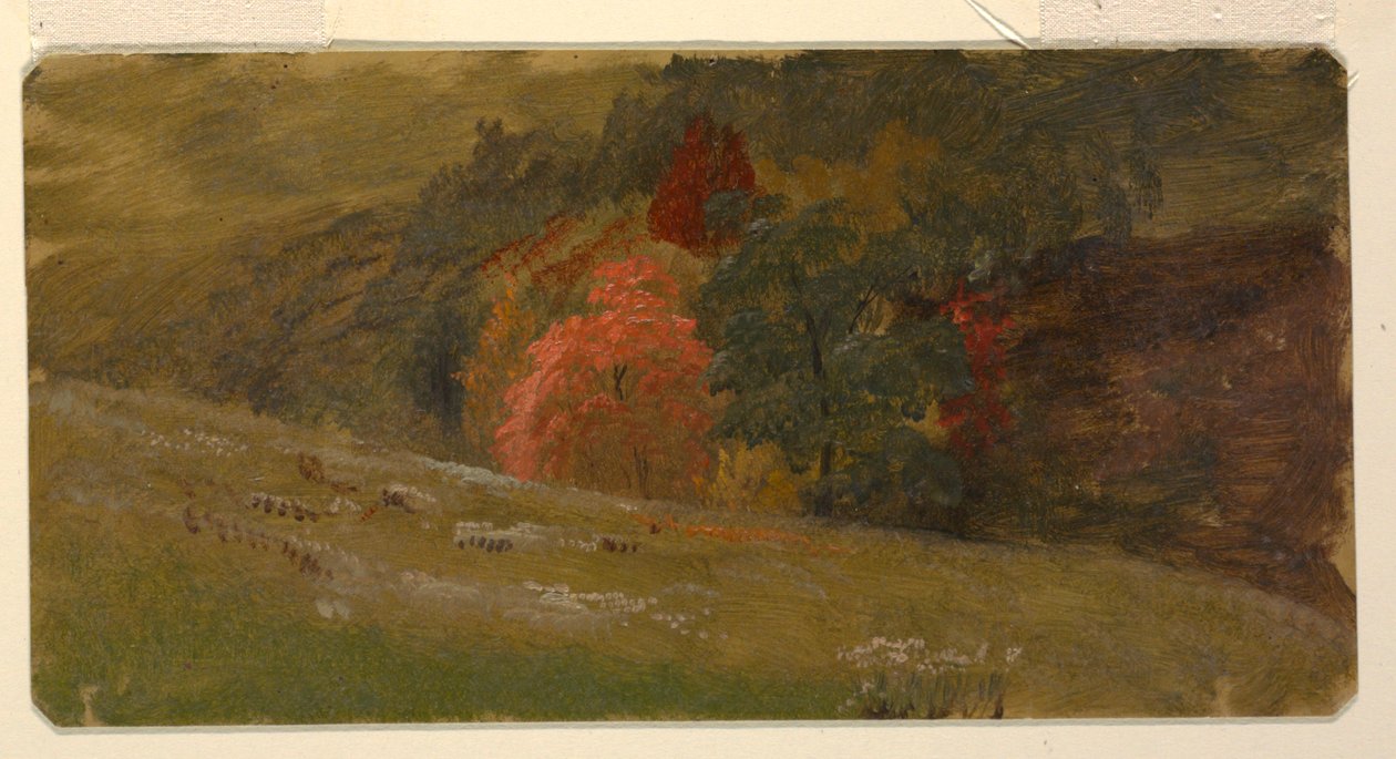 Jesienny krajobraz autorstwa Frederic Edwin Church