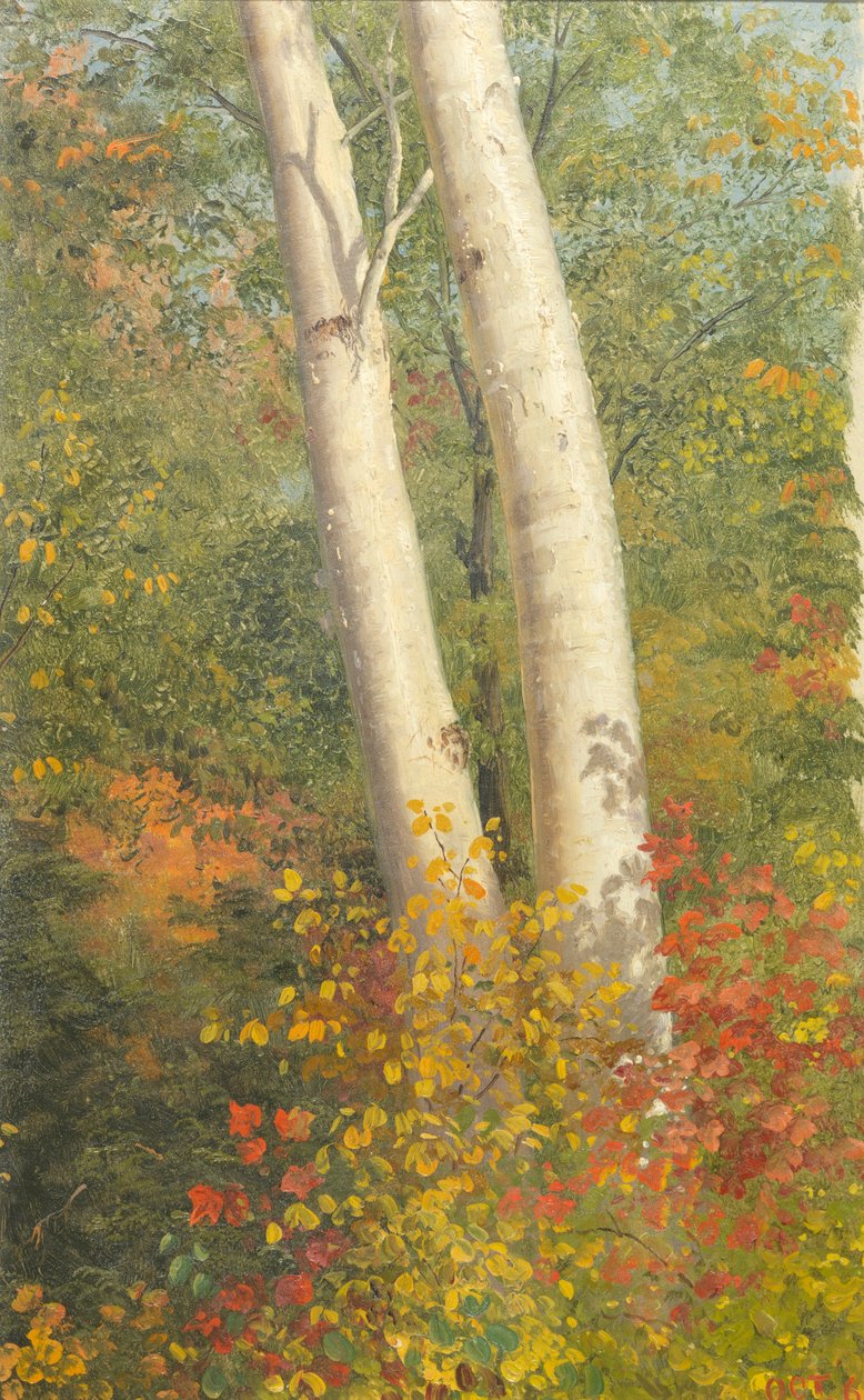 Brzozy jesienią autorstwa Frederic Edwin Church