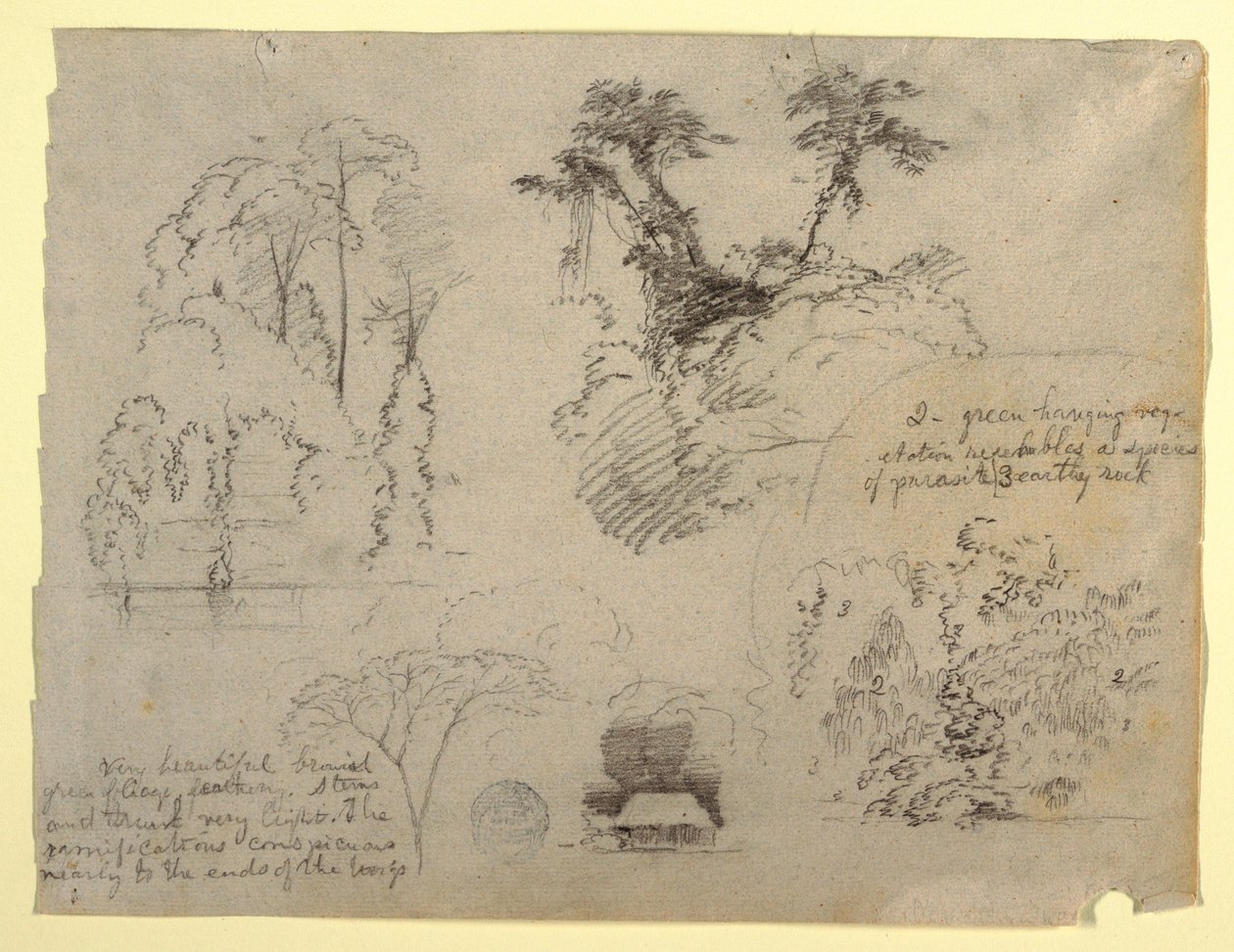 Studia botaniczne i dom, prawdopodobnie z Kolumbii autorstwa Frederic Edwin Church