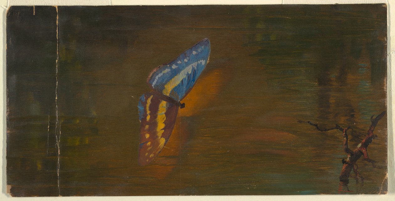 Motyl nad wodą autorstwa Frederic Edwin Church