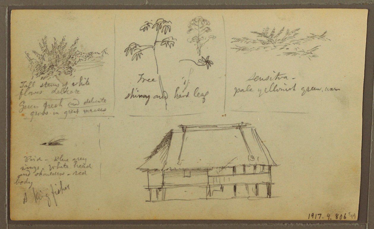Rysunek, Fort; Verso: Szkice botaniczne, Dom, 1857 r. autorstwa Frederic Edwin Church