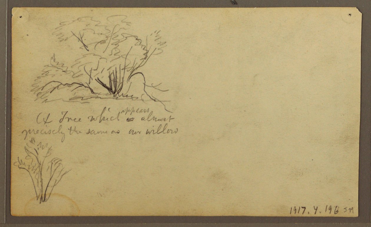 Rysunek, Chata na słupach, Guayaquil, Ekwador, maj 1857 r. autorstwa Frederic Edwin Church