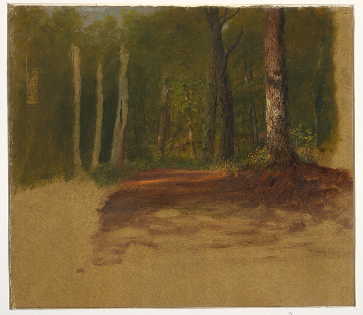 Rysunek, Droga do lasu, 1850-60 autorstwa Frederic Edwin Church
