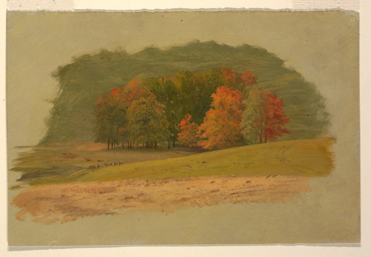 Rysunek, jesienny krajobraz, 1860-70 autorstwa Frederic Edwin Church