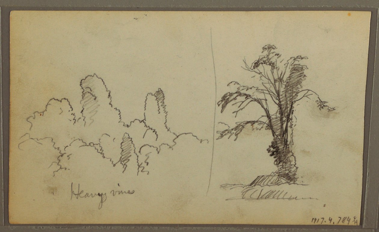 Rysunek, Bireds, "Skała w Zatoce Panamskiej"; Verso: "Ciężkie winorośle", 15 maja 1857 r. autorstwa Frederic Edwin Church