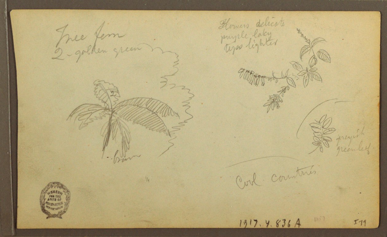 Rysunek, Szkice botaniczne; Verso: Szkice botaniczne, 1857 r. autorstwa Frederic Edwin Church