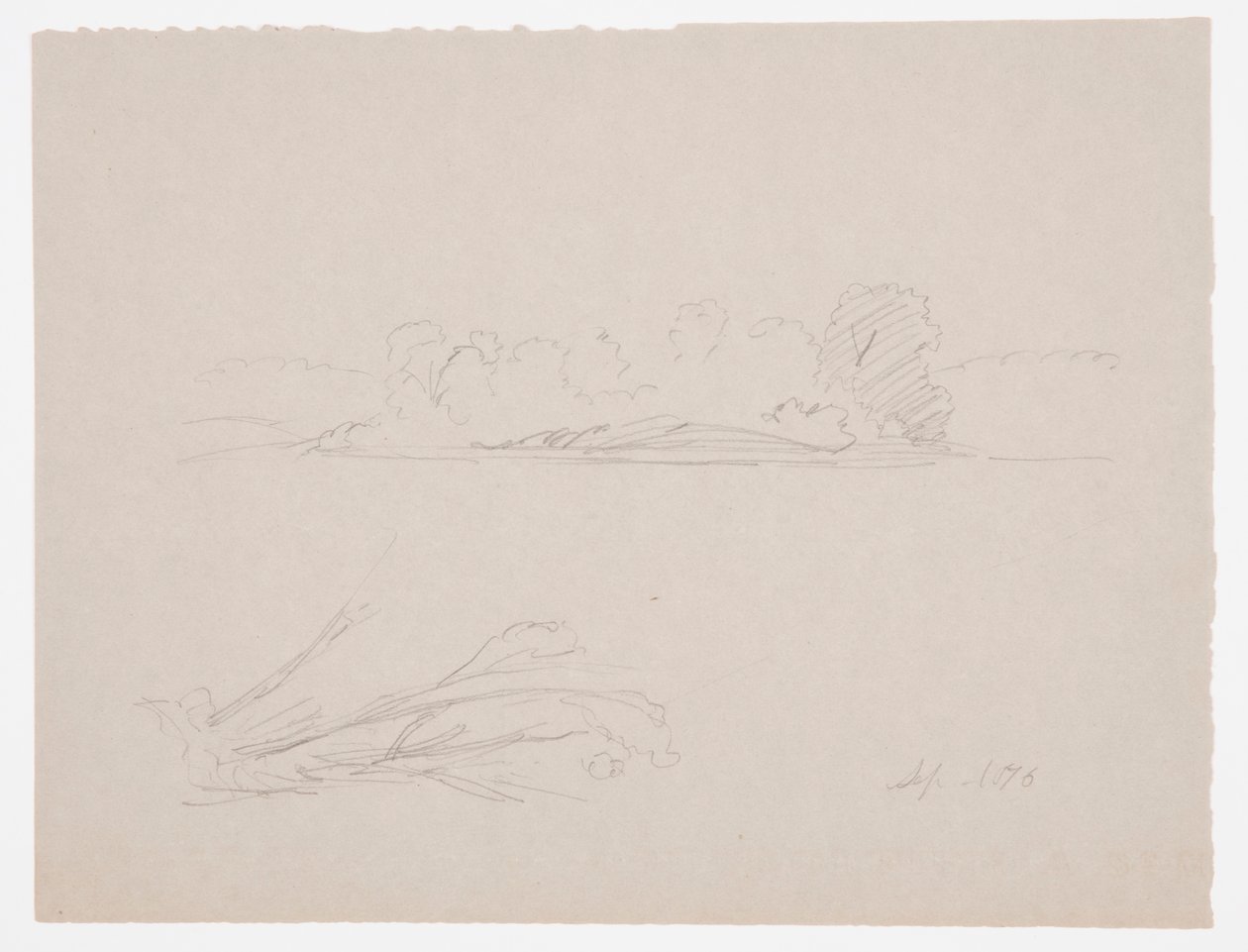 Rysunek, Szkice botaniczne: krajobraz, drzewa na brzegu, wrzesień 1876 r. autorstwa Frederic Edwin Church