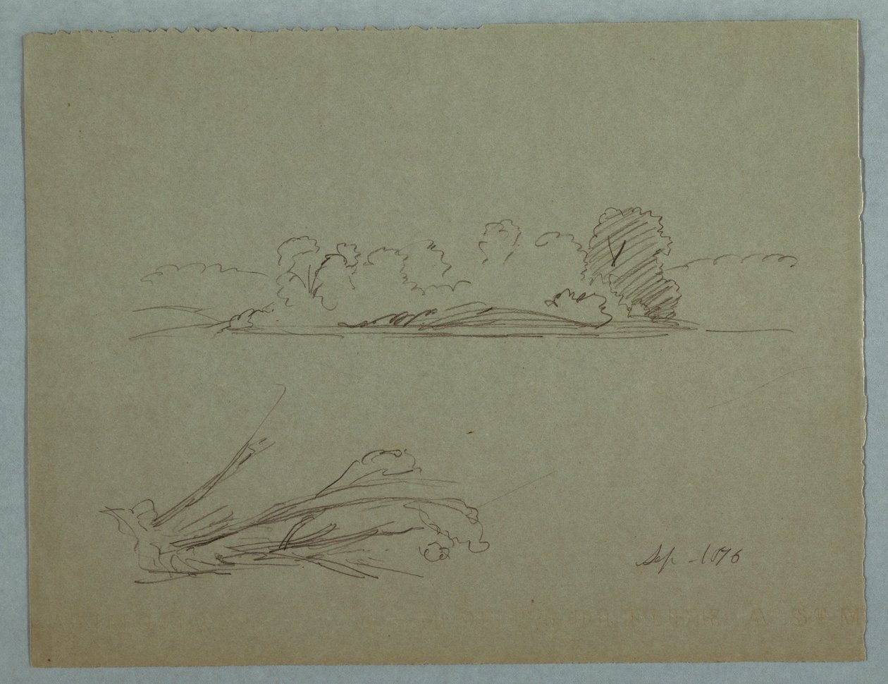 Rysunek, Szkice botaniczne: krajobraz, drzewa na brzegu, wrzesień 1876 r. autorstwa Frederic Edwin Church