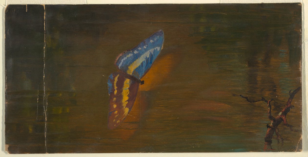 Rysunek, Motyl nad wodą, ok. 1865 r. autorstwa Frederic Edwin Church