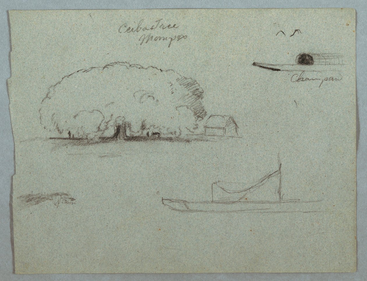 Rysunek, drzewo ceiba w Mompos, kajak Champan, drzewa i częściowo łódź, Rio Magdelena, Kolumbia, 1853, prawdopodobnie maj autorstwa Frederic Edwin Church