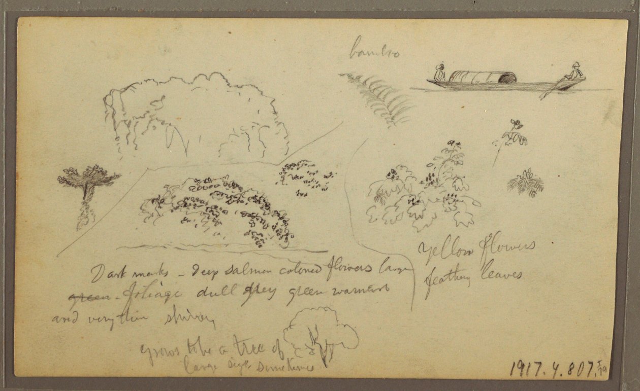 Rysunek, Kościół, wieże; Verso: Postacie w kajaku, Szkice botaniczne, 1857 autorstwa Frederic Edwin Church