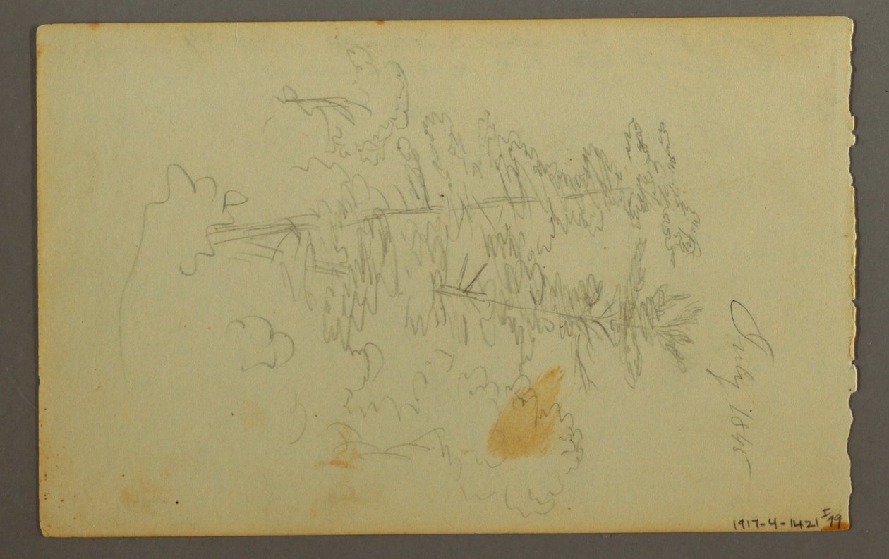Rysunek, Studium chmury, 1845 autorstwa Frederic Edwin Church