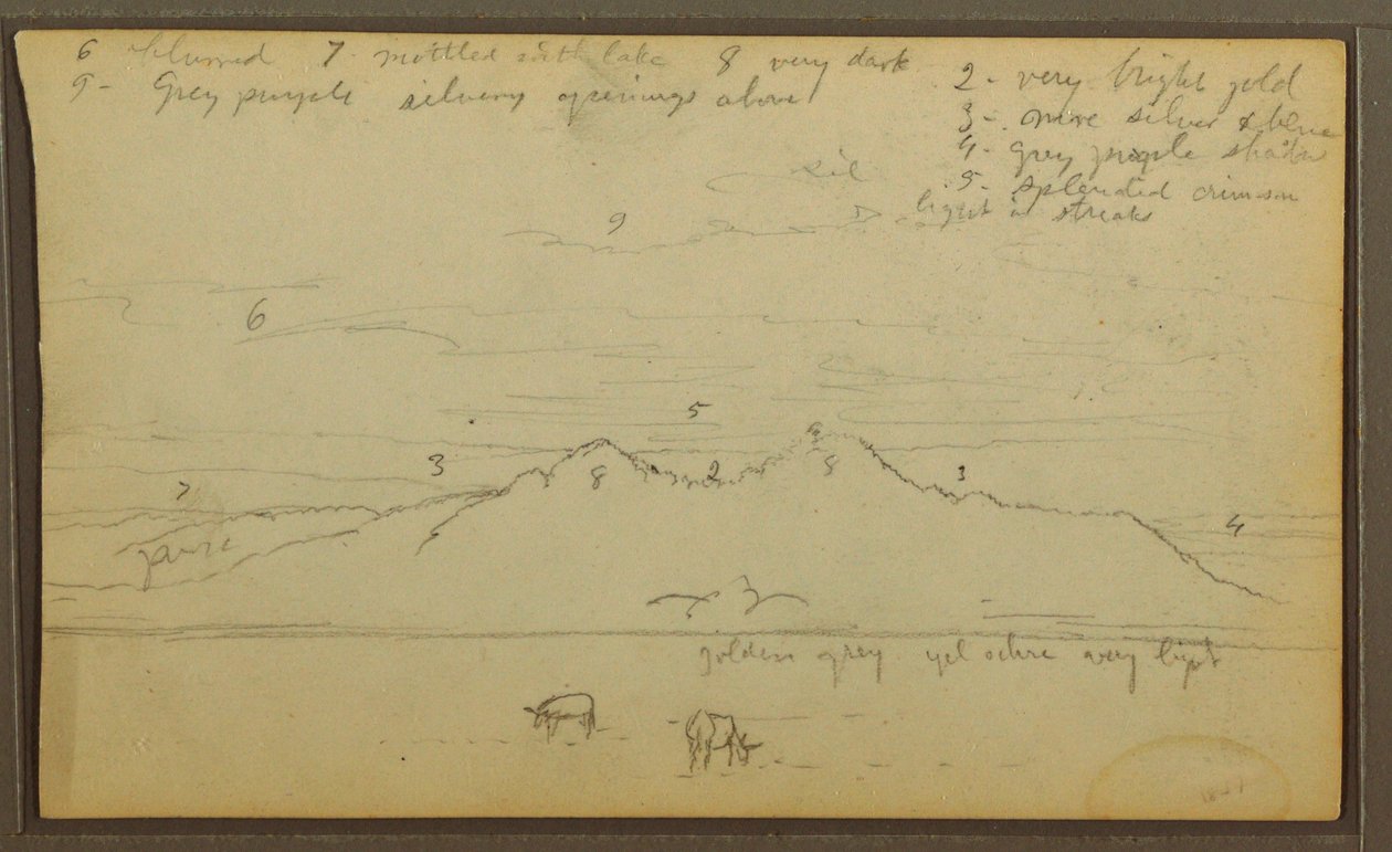 Rysunek, Krowy w krajobrazie; Verso: Bambus, 1857 autorstwa Frederic Edwin Church