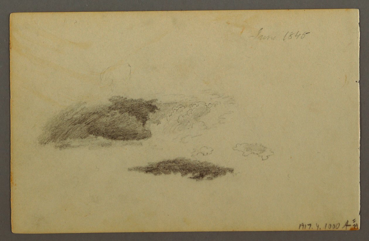 Rysunek, spróchniała brzoza, 1844 r. autorstwa Frederic Edwin Church