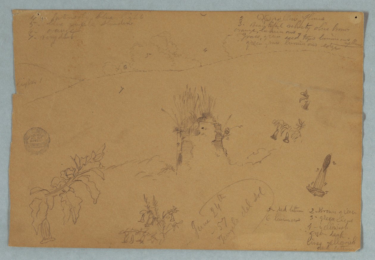 Rysunek, Rysunek.  Szkice botaniczne i chmur w pobliżu Quito, Ekwador, 24 czerwca 1857 r. autorstwa Frederic Edwin Church