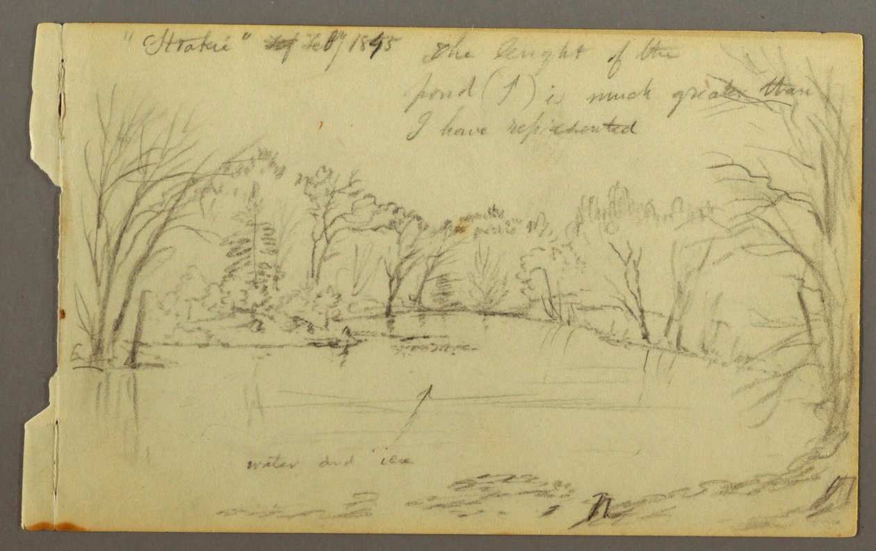 Rysunek, staw Htakie () otoczony drzewami, 1845 r. autorstwa Frederic Edwin Church