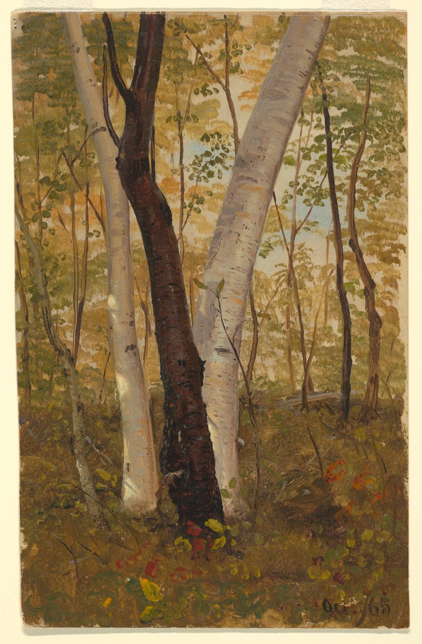 Rysunek, W lesie, Hudson, Nowy Jork, październik 1865 r. autorstwa Frederic Edwin Church