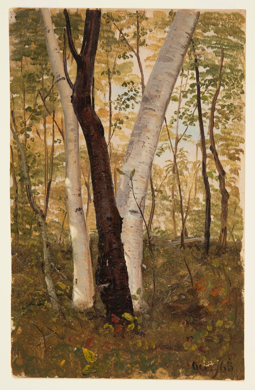 Rysunek, W lesie, Hudson, Nowy Jork, październik 1865 r. autorstwa Frederic Edwin Church