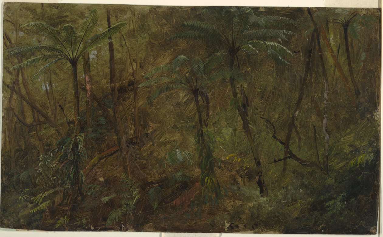 Rysunek, W lesie Jamacia, Indie Zachodnie, 1865 r. autorstwa Frederic Edwin Church
