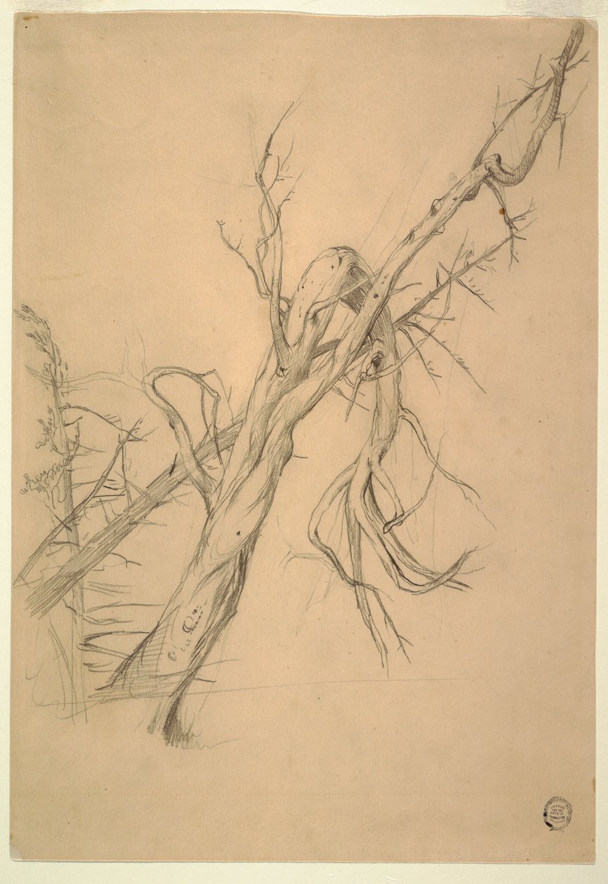 Rysunek, obozowisko Indian, Grand Manan, Zatoka Fundy, wrzesień 1851 r. autorstwa Frederic Edwin Church