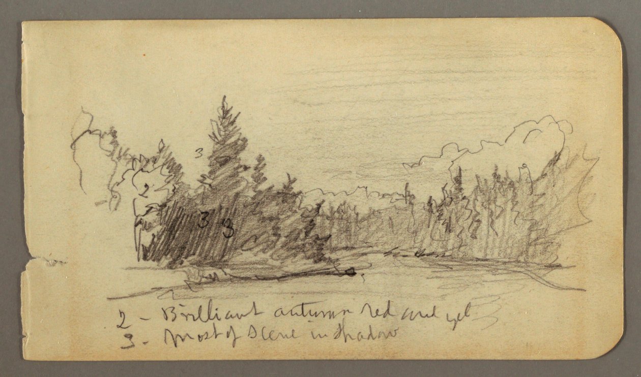 Rysunek, jezioro otoczone drzewami, prawdopodobnie 1878 r. autorstwa Frederic Edwin Church
