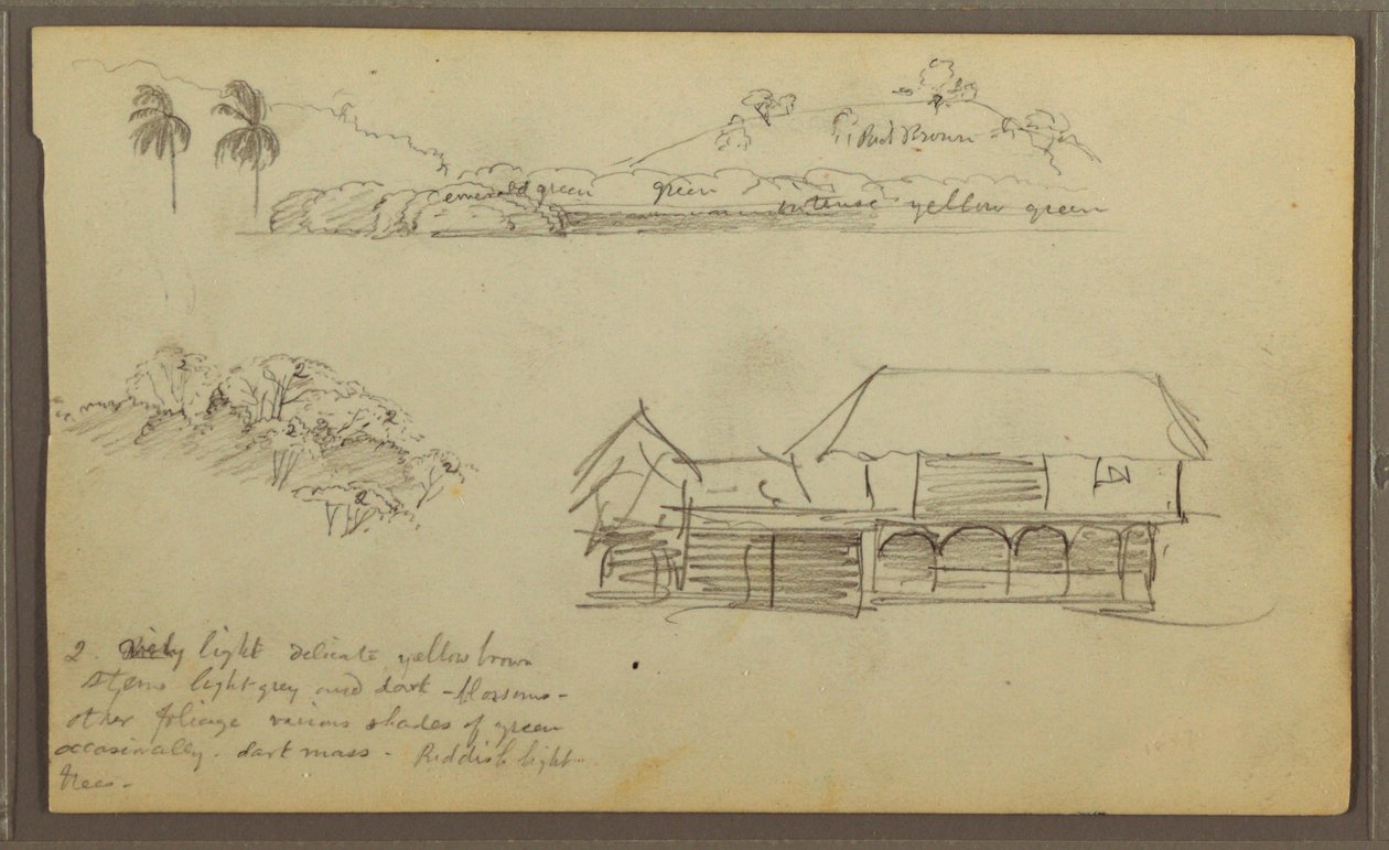 Rysunek, krajobraz, wierzchołki drzew, dom, 1857 autorstwa Frederic Edwin Church