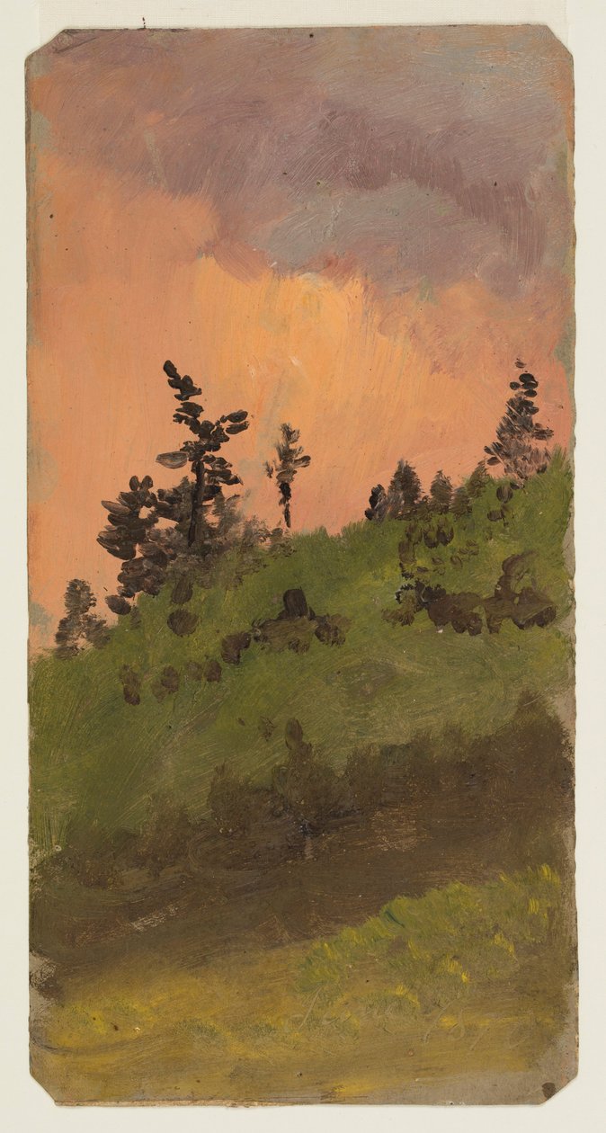 Rysunek, Pejzaż z lasem, czerwiec 1870 r. autorstwa Frederic Edwin Church