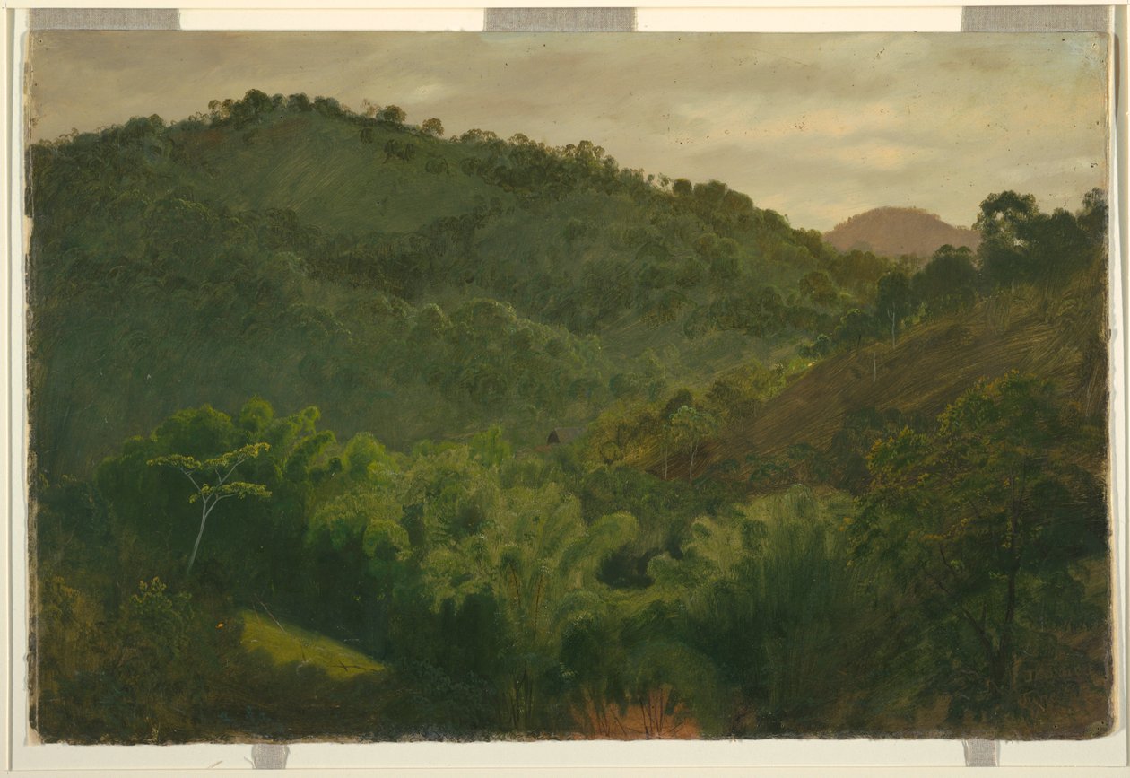 Rysunek, Pejzaż z Jamajki, Indie Zachodnie, 1865 r. autorstwa Frederic Edwin Church