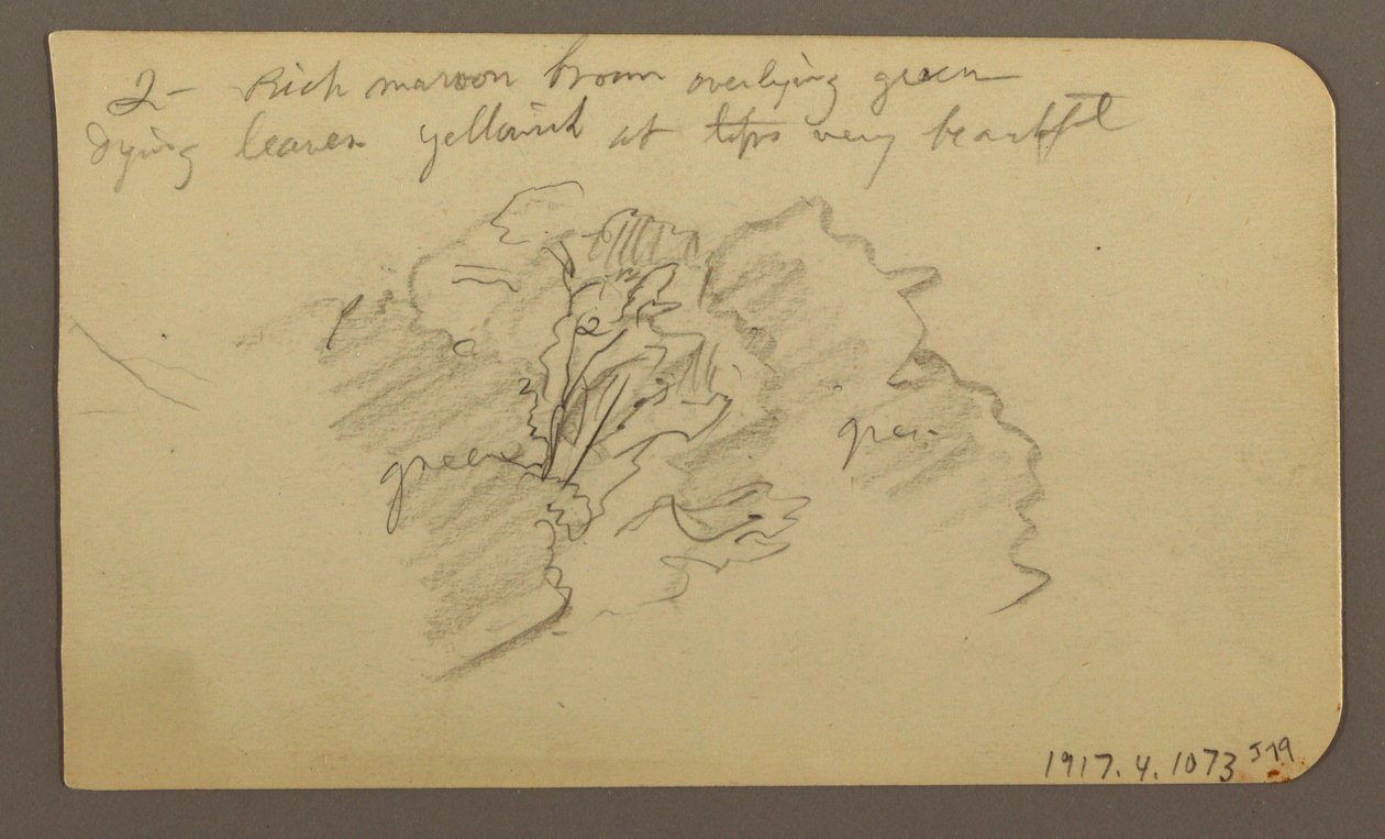 Rysunek, krajobraz, domy; Verso: wierzchołek drzewa, luty 1885 r. autorstwa Frederic Edwin Church