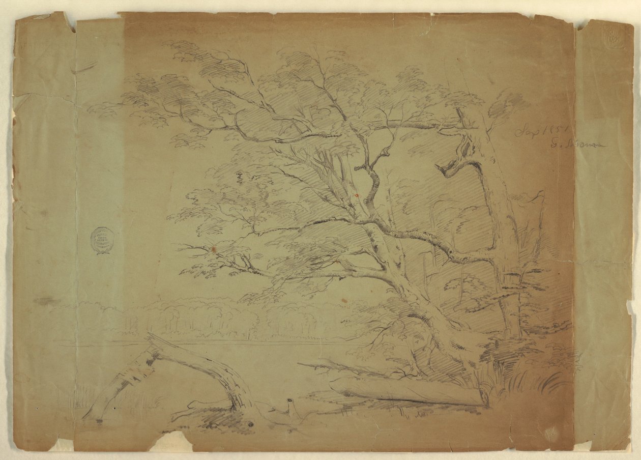 Rysunek, Krajobraz z drzewami i strumieniem [], wyspa Grand Manan, Kanada, wrzesień 1851 r. autorstwa Frederic Edwin Church