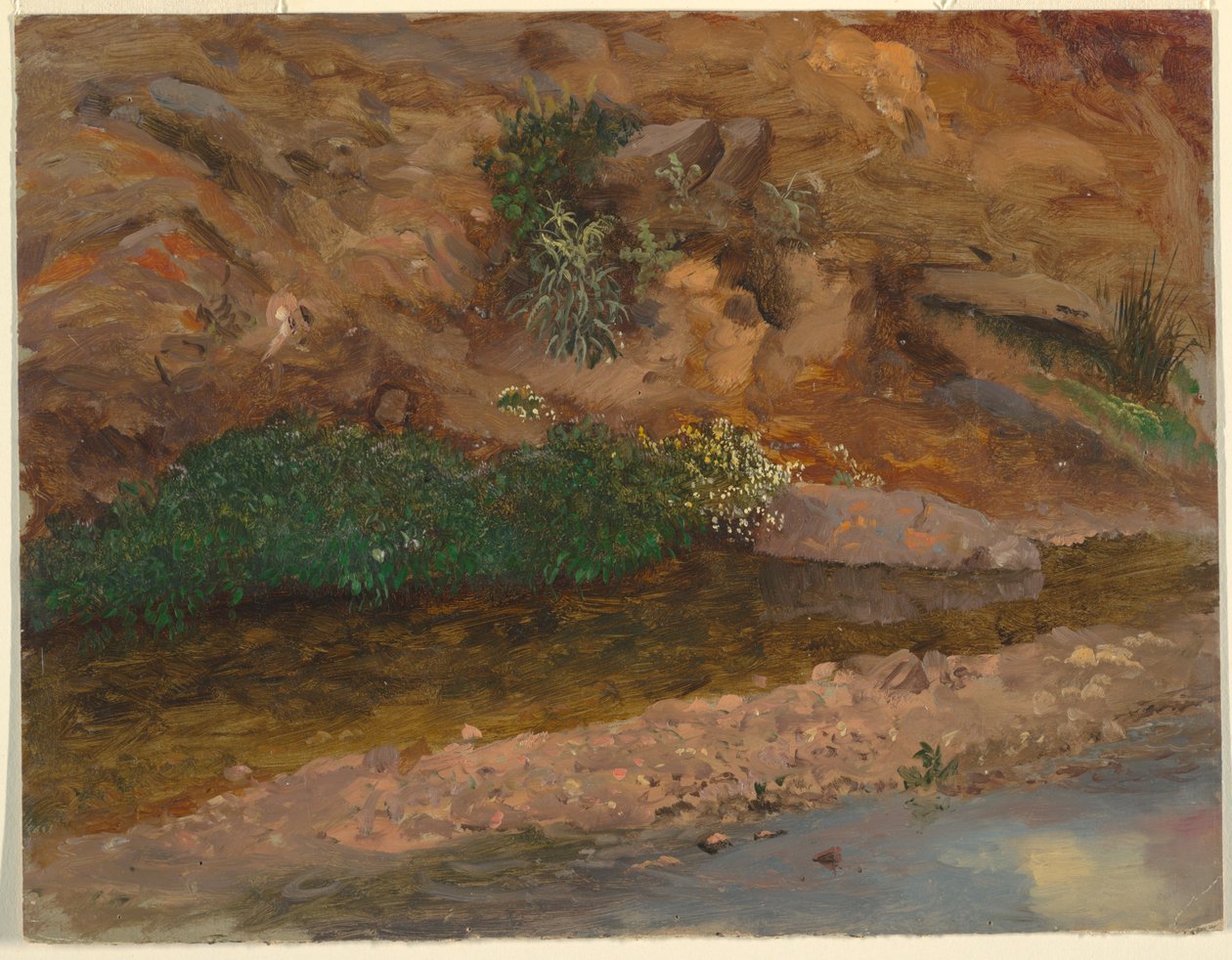 Rysunek, brzeg strumienia, 1860-70 autorstwa Frederic Edwin Church