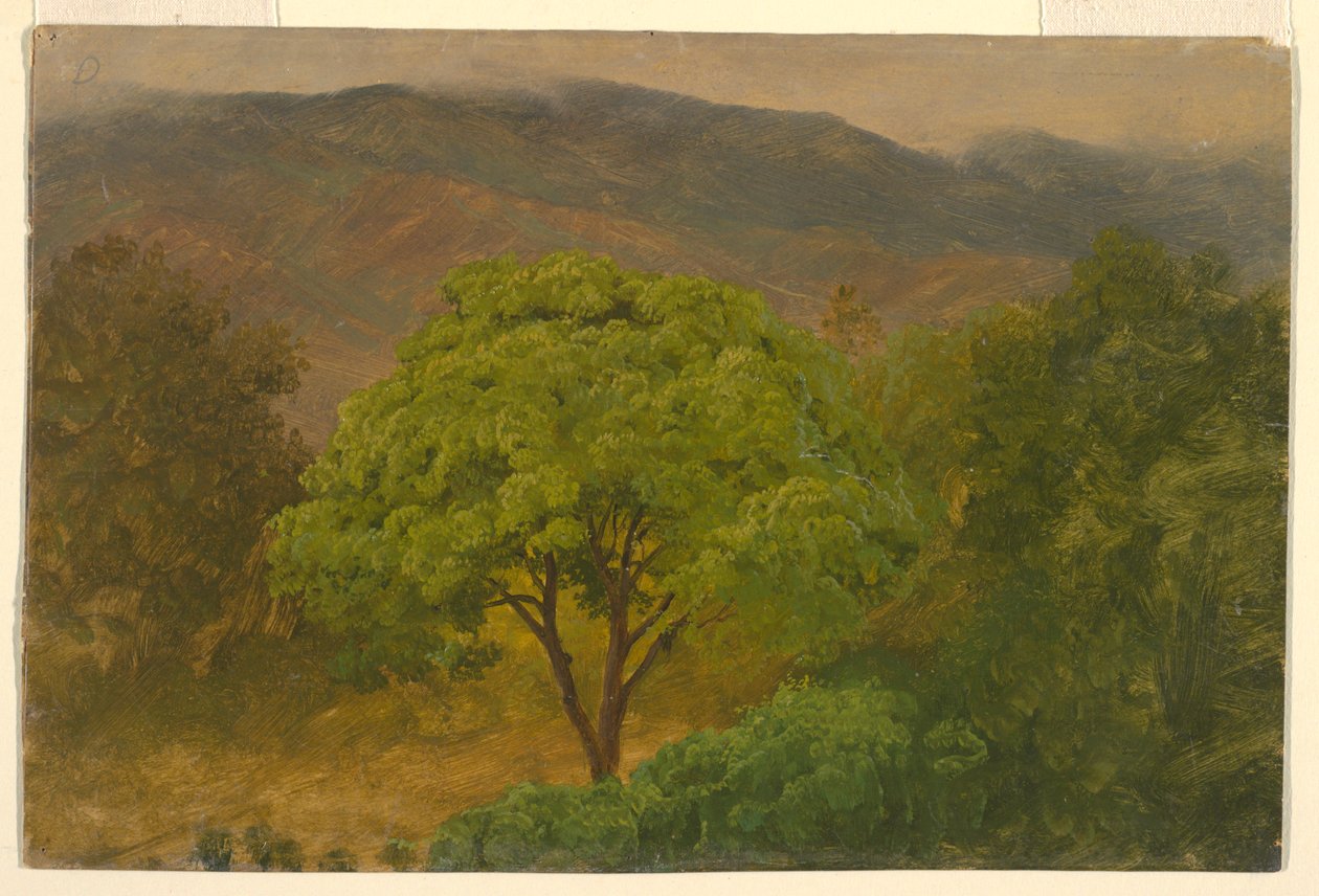 Rysunek, Krajobraz górski, sierpień 1865 r. autorstwa Frederic Edwin Church